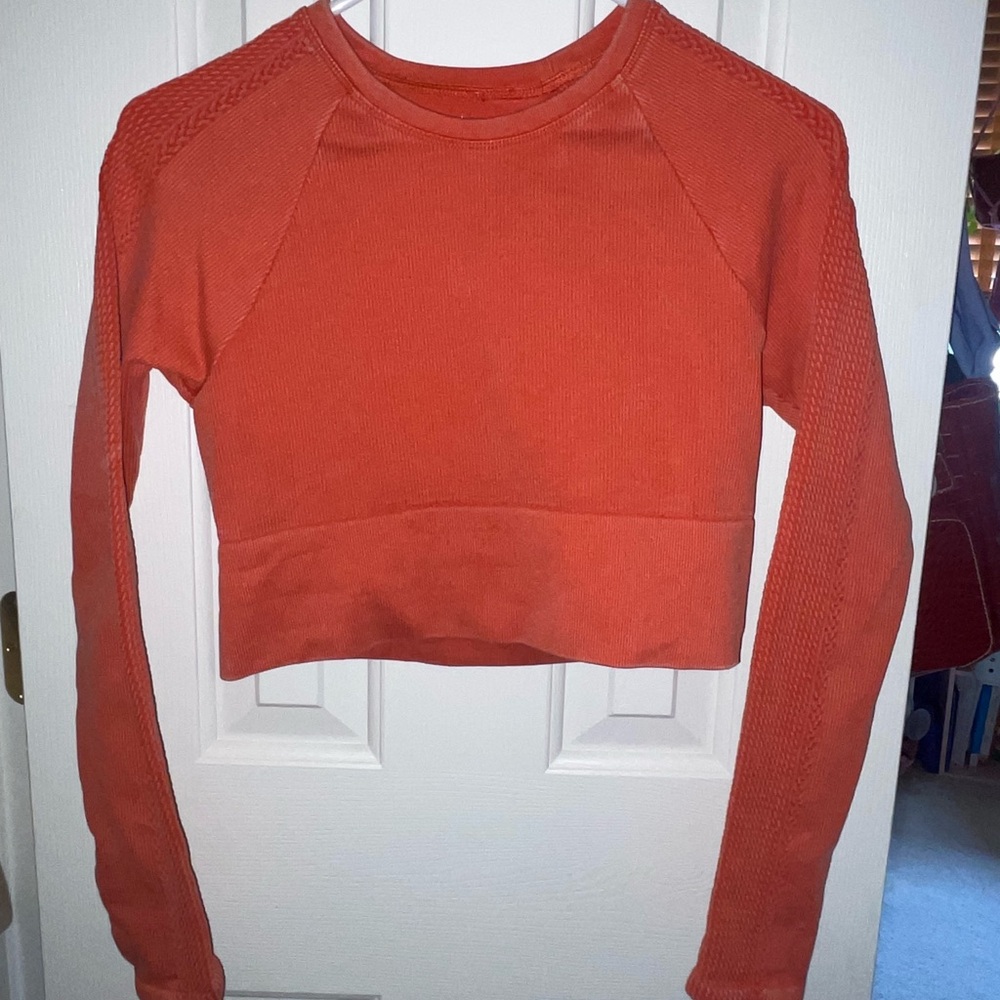 Aerie Cropped Fitted Long Sleeve top